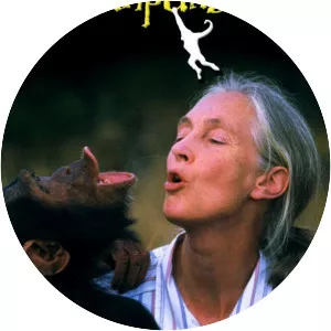 Jane Goodall's Wild Chimpanzees