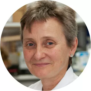 Janet Shipley - Researcher