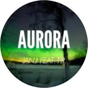 Janji Musician - Musical artist