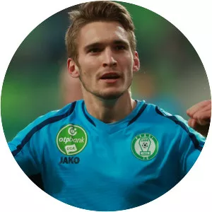 János Hahn - Hungarian football player