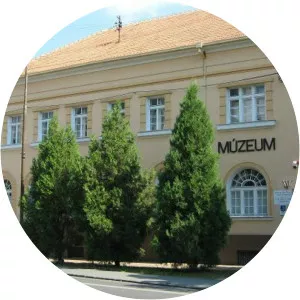 János Thain - Painter