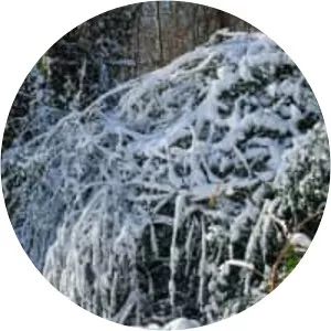 January 2018 North American blizzard - 