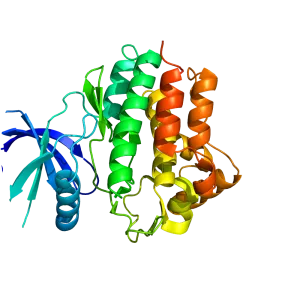 Janus kinase 1 - Protein