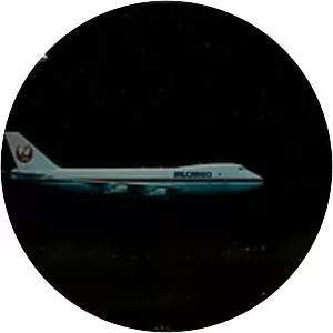 Japan Air Lines flight 1628 incident - 