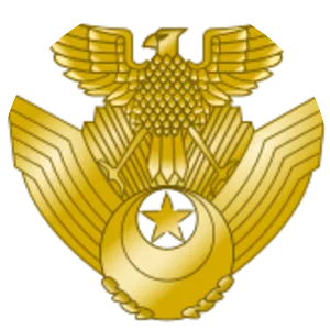 Japan Air Self-Defense Force - Air defense force