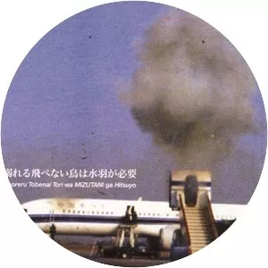 Japan Airlines Flight 351