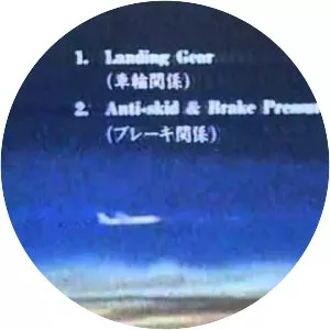 Japan Airlines Flight 471