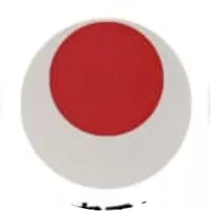 Japan Karate Association