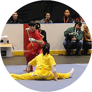 Japan Wushu Team