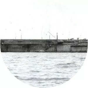 Japanese aircraft carrier Taiyō