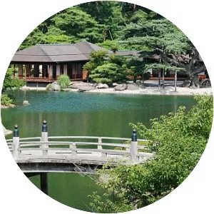 Japanese garden - 