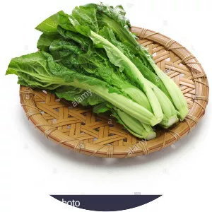 Japanese giant red mustard - Plants