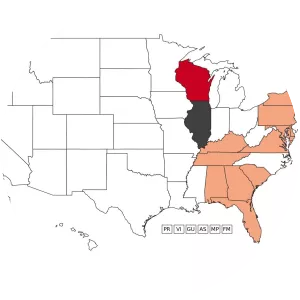 Japanese honeysuckle