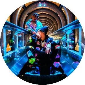 Japanese magenese - Musical artist