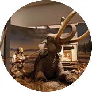 Japanese Paleolithic - 