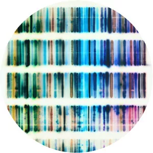 Jaq Chartier - Visual artist