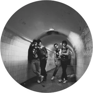 Jarbas Alves Musician