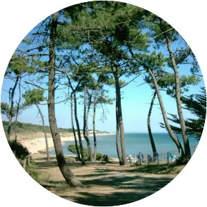 Jard-sur-Mer