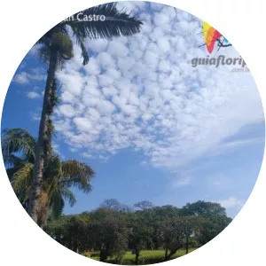 jardim botanico florianopolis