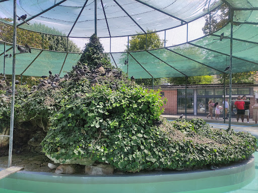 Jardim Dom Fernando - Park in Viana do castelo, Portugal