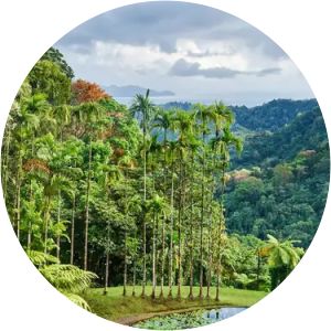 jardin de balata le domaine de l'émeraude