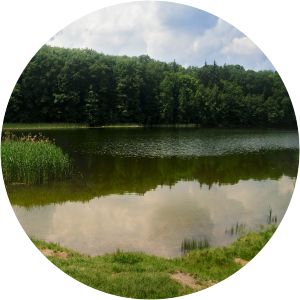 Jarosławieckie Lake