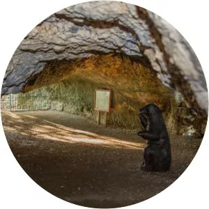 jaskinia nietoperzowa