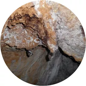 Jaskinia Wiślańska - 