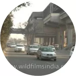 Jasola Apollo metro station - 