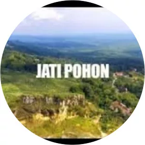 JatiPohon Indah