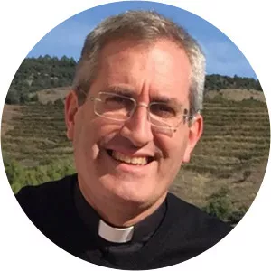 Javier Vilanova Pellisa