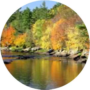 Jay Cooke State Park