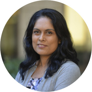 Jayashri Srikantiah - Professor