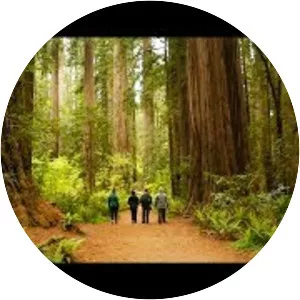 Jedediah Smith Redwoods State Park