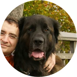 Jeffrey J Schoenebeck - Researcher