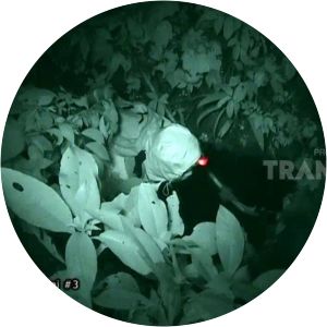 Jejak-Jejak Misterius - TV program