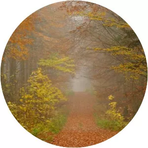 Jeleniowska Landscape Park - 