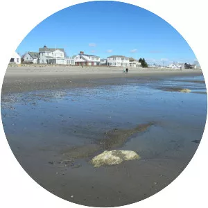 Jenness Beach - 