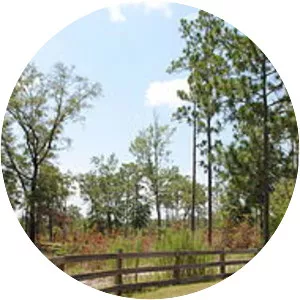 Jennings State Forest - 