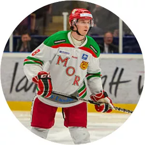 Jens Hellgren - Swedish ice hockey player