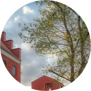 Jens Lindhe - Photographer