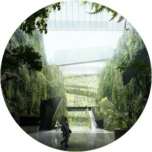 Jensen & Skodvin Architects