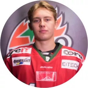 Jeremias Lindewall - Ice hockey player