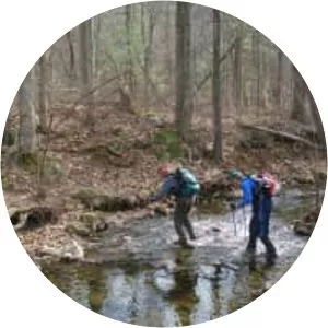 Jeremy's Run - Stream in Virginia