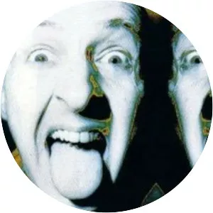 Jeroen Flamman Musician - Musical artist