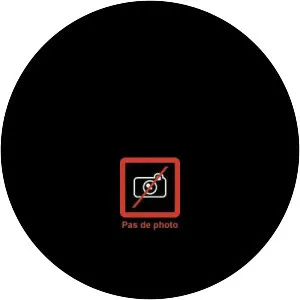 Jérôme Clément-Wilz