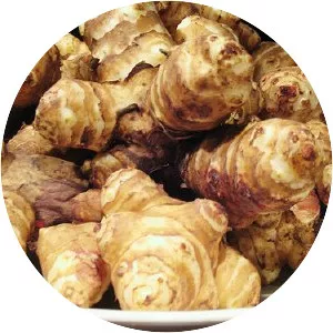 Jerusalem artichoke - Root vegetables