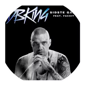 jesper helles dennis bjerking - Musical artist