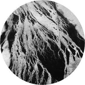 Jesse Draxler - Musical artist