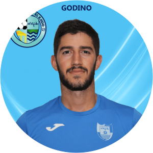 Jesús Godino Jiménez